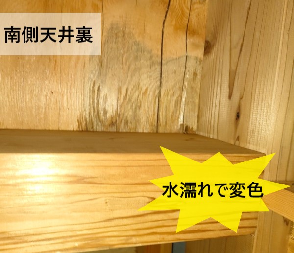 南側の天井裏　水濡れで木材が変色